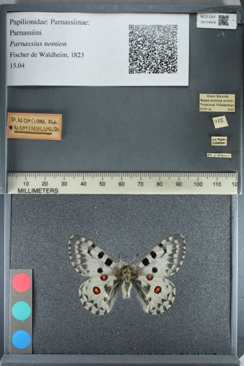 Media type: image;   Entomology 174978